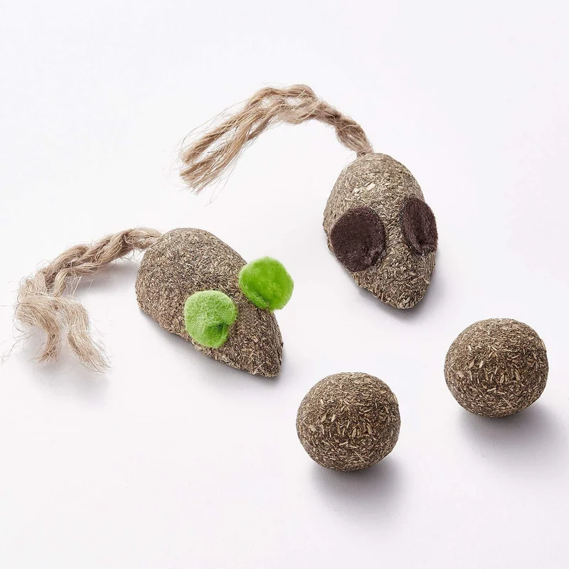 10 Pieces Cat Catnip Toys for Cat Playing Chewing Teeth Cleaning, 5 Pieces Cute Face Pillow, 1 Pack Catnip Fish, 2 Packs Catnip Mouse Toy, 2 Packs Catnip Ball Cleaning Teeth Molar Tools