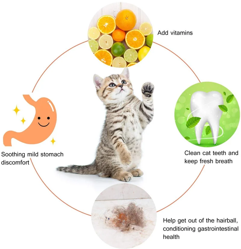 10 Pieces Cat Catnip Toys for Cat Playing Chewing Teeth Cleaning, 5 Pieces Cute Face Pillow, 1 Pack Catnip Fish, 2 Packs Catnip Mouse Toy, 2 Packs Catnip Ball Cleaning Teeth Molar Tools