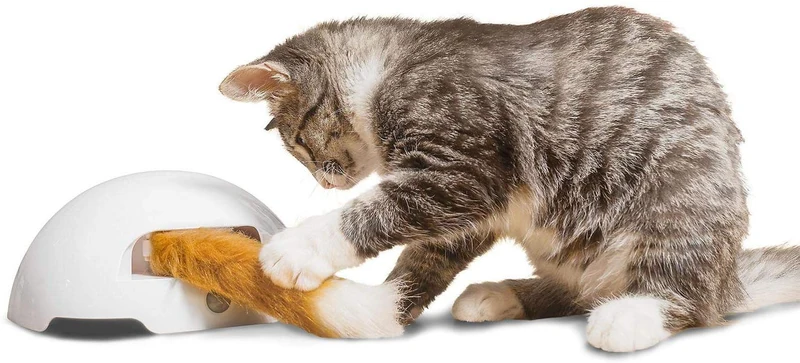 Premier Pet Fox Den Juguete para gato