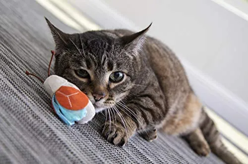Petlinks Electronic Light Cat Toy