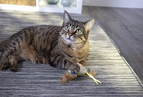 Petlinks System Sweet Tweet Cat Toy