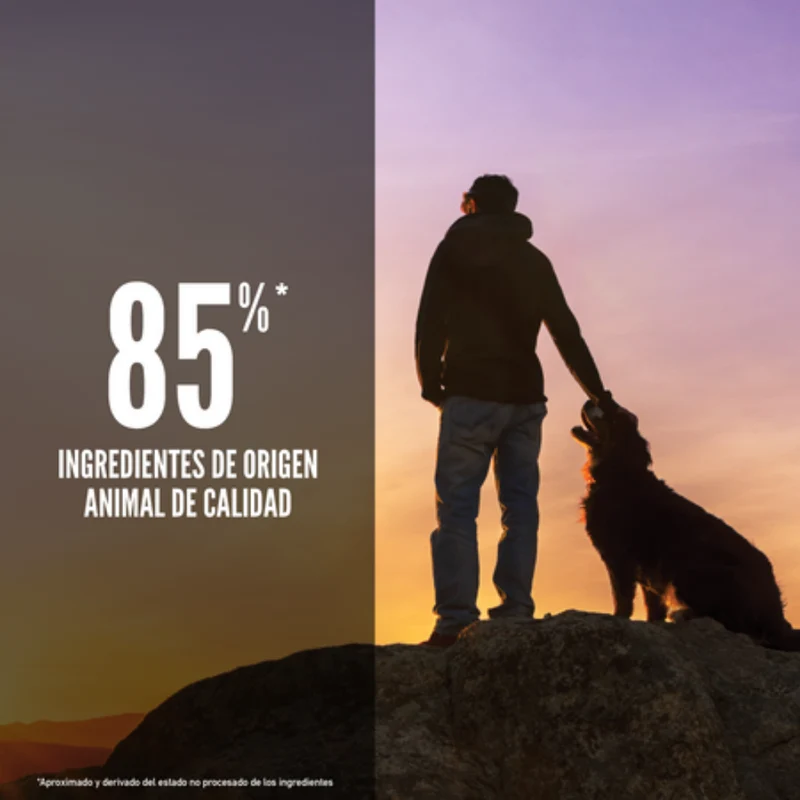 Orijen Dog Regional Red