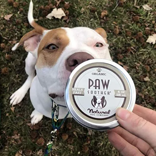 Natural Dog Company – Chupete para patas de perro | cura las almohadillas para patas de perro secas, agrietadas e irritadas | ingredientes orgánicos, totalmente naturales, fácil de aplicar