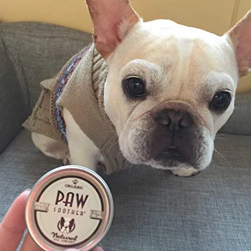 Natural Dog Company – Chupete para patas de perro | cura las almohadillas para patas de perro secas, agrietadas e irritadas | ingredientes orgánicos, totalmente naturales, fácil de aplicar