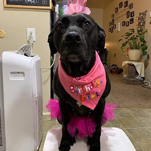 Bandana de cumpleaños para perro, de Escenereal, suministros para fiestas de cumpleaños, falda tutú, bufanda y collar, para mascotas, cachorros, gatos, niñas, color rosa, para fiesta de cumpleaños
