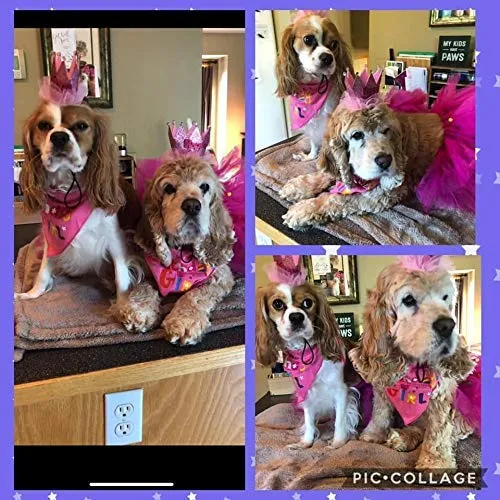Bandana de cumpleaños para perro, de Escenereal, suministros para fiestas de cumpleaños, falda tutú, bufanda y collar, para mascotas, cachorros, gatos, niñas, color rosa, para fiesta de cumpleaños