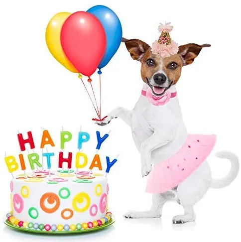 Bandana de cumpleaños para perro, de Escenereal, suministros para fiestas de cumpleaños, falda tutú, bufanda y collar, para mascotas, cachorros, gatos, niñas, color rosa, para fiesta de cumpleaños