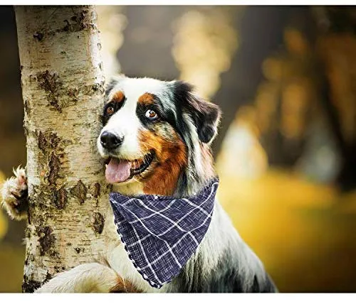 Segarty Bandana para perro, bufandas para cachorros pequeños, medianos, grandes, a cuadros, reversibles, para mascotas, bandanas, accesorios, juego de pañuelos triangulares