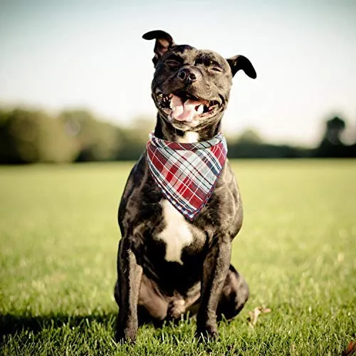Segarty Bandana para perro, bufandas para cachorros pequeños, medianos, grandes, a cuadros, reversibles, para mascotas, bandanas, accesorios, juego de pañuelos triangulares