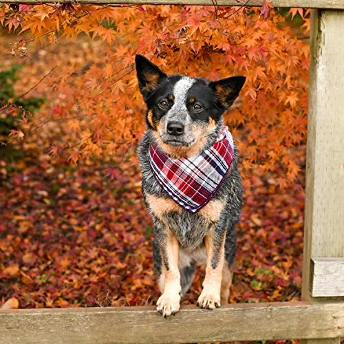 Segarty Bandana para perro, bufandas para cachorros pequeños, medianos, grandes, a cuadros, reversibles, para mascotas, bandanas, accesorios, juego de pañuelos triangulares