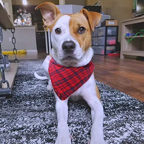 Segarty Bandana para perro, bufandas para cachorros pequeños, medianos, grandes, a cuadros, reversibles, para mascotas, bandanas, accesorios, juego de pañuelos triangulares