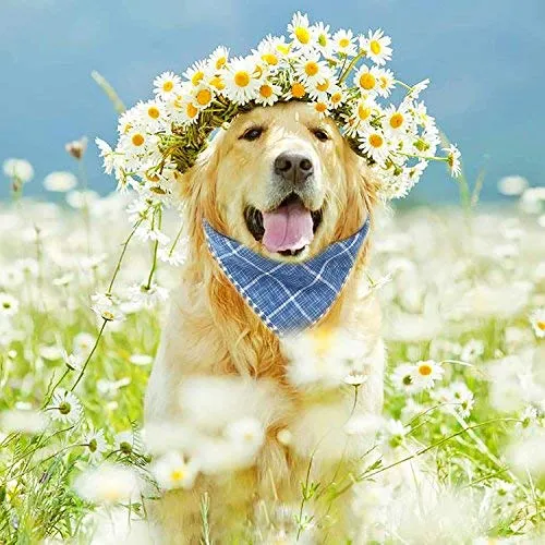 Segarty Bandana para perro, bufandas para cachorros pequeños, medianos, grandes, a cuadros, reversibles, para mascotas, bandanas, accesorios, juego de pañuelos triangulares