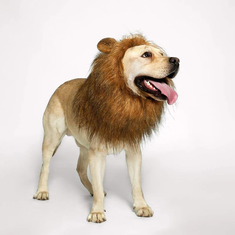 Peluca de melena de león para perro, realista y divertida, melena de león para perros, melena de león complementaria para disfraces de perro, peluca de león para perros de tamaño mediano a grande
