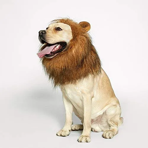 Peluca de melena de león para perro, realista y divertida, melena de león para perros, melena de león complementaria para disfraces de perro, peluca de león para perros de tamaño mediano a grande