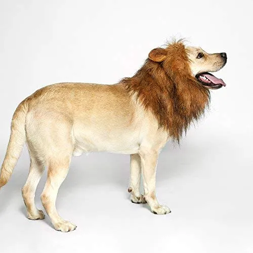 Peluca de melena de león para perro, realista y divertida, melena de león para perros, melena de león complementaria para disfraces de perro, peluca de león para perros de tamaño mediano a grande
