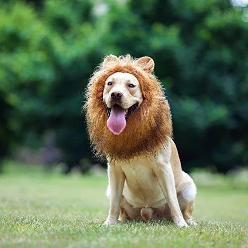 Peluca de melena de león para perro, realista y divertida, melena de león para perros, melena de león complementaria para disfraces de perro, peluca de león para perros de tamaño mediano a grande