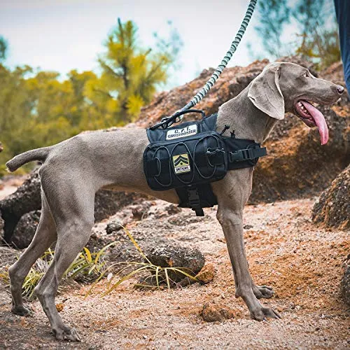 OneTigris – Mochila para perro de viaje de camping senderismo para perro mediano y grande