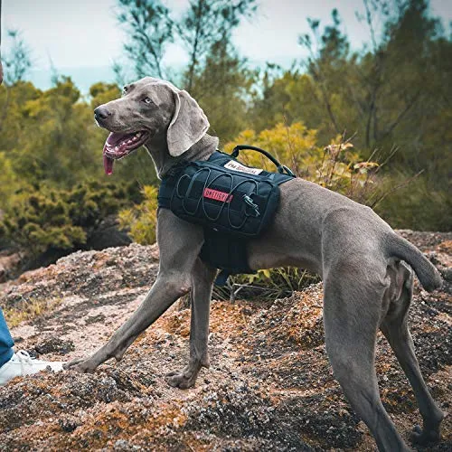 OneTigris – Mochila para perro de viaje de camping senderismo para perro mediano y grande