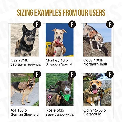 OneTigris – Mochila para perro de viaje de camping senderismo para perro mediano y grande