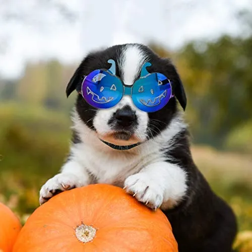 Enjoying Dog Goggles - Small Dog Sunglasses Waterproof Windproof UV Protection for Doggy Puppy Cat