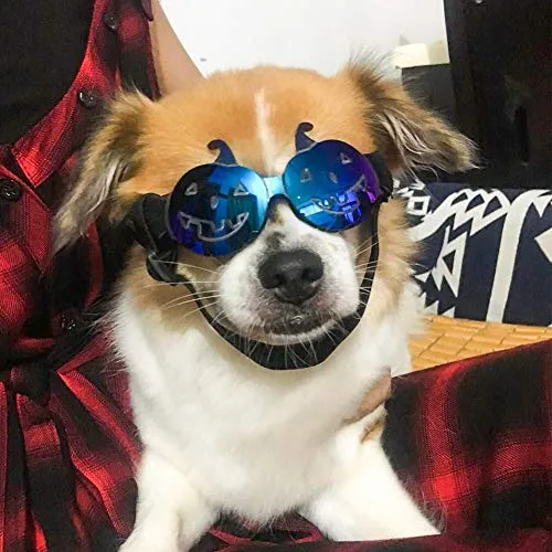 Enjoying Dog Goggles - Small Dog Sunglasses Waterproof Windproof UV Protection for Doggy Puppy Cat