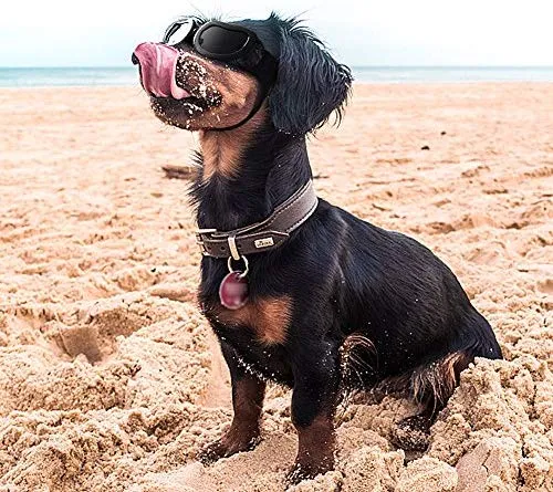Enjoying Dog Goggles - Small Dog Sunglasses Waterproof Windproof UV Protection for Doggy Puppy Cat