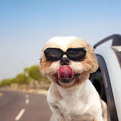 Enjoying Dog Goggles - Small Dog Sunglasses Waterproof Windproof UV Protection for Doggy Puppy Cat