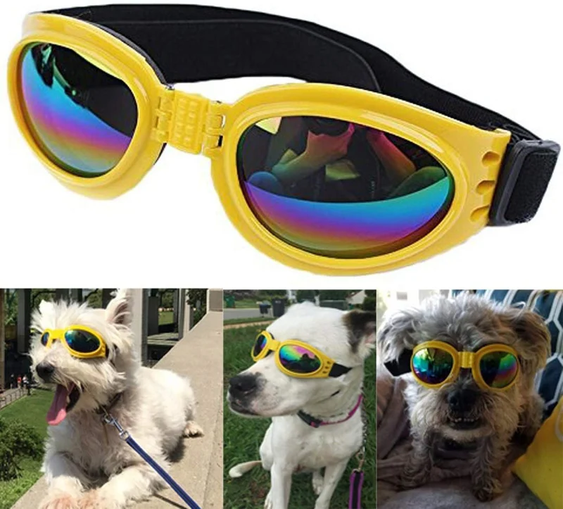 QUMY Dog Goggles Eye Wear Protection Waterproof Pet Sunglasses for Dogs About Over 15 lbs