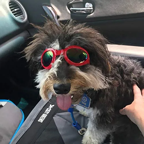 QUMY Dog Goggles Eye Wear Protection Waterproof Pet Sunglasses for Dogs About Over 15 lbs