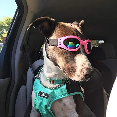 QUMY Dog Goggles Eye Wear Protection Waterproof Pet Sunglasses for Dogs About Over 15 lbs