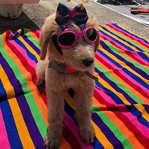 QUMY Dog Goggles Eye Wear Protection Waterproof Pet Sunglasses for Dogs About Over 15 lbs