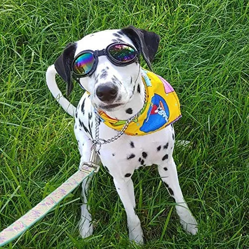 QUMY Dog Goggles Eye Wear Protection Waterproof Pet Sunglasses for Dogs About Over 15 lbs