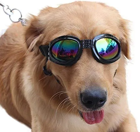 QUMY Dog Goggles Eye Wear Protection Waterproof Pet Sunglasses for Dogs About Over 15 lbs