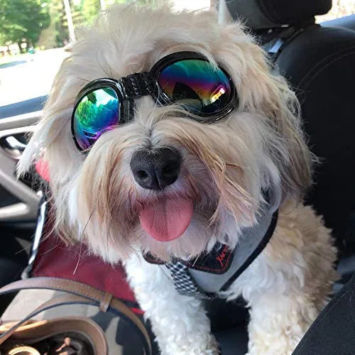 QUMY Dog Goggles Eye Wear Protection Waterproof Pet Sunglasses for Dogs About Over 15 lbs