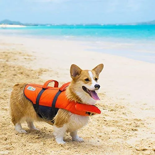 Outward Hound - Chaleco salvavidas para perro, diseño de granby