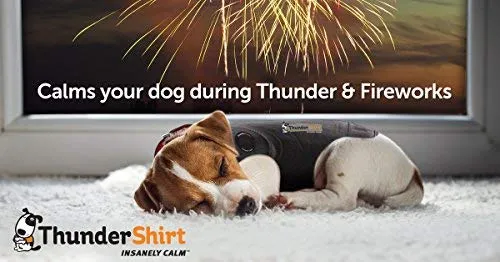 Thundershirt - Chamarra de ansiedad para perro