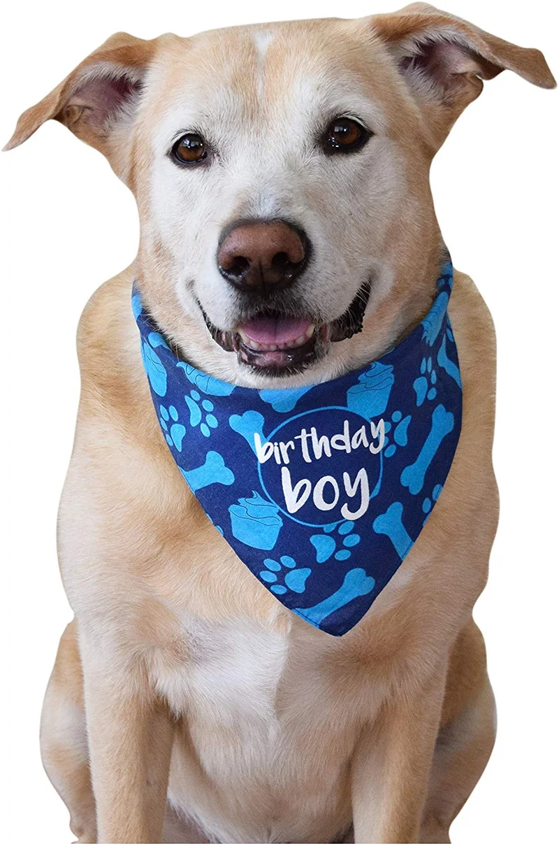 Bandana de cumpleaños para perro, diseño de niño