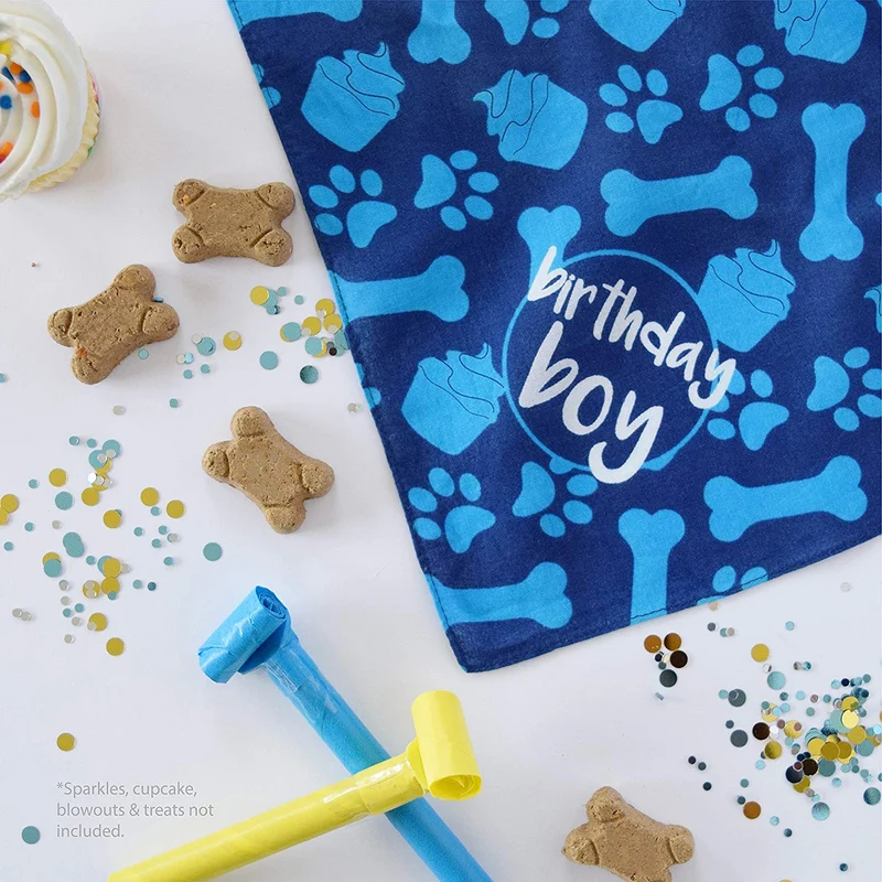 Bandana de cumpleaños para perro, diseño de niño