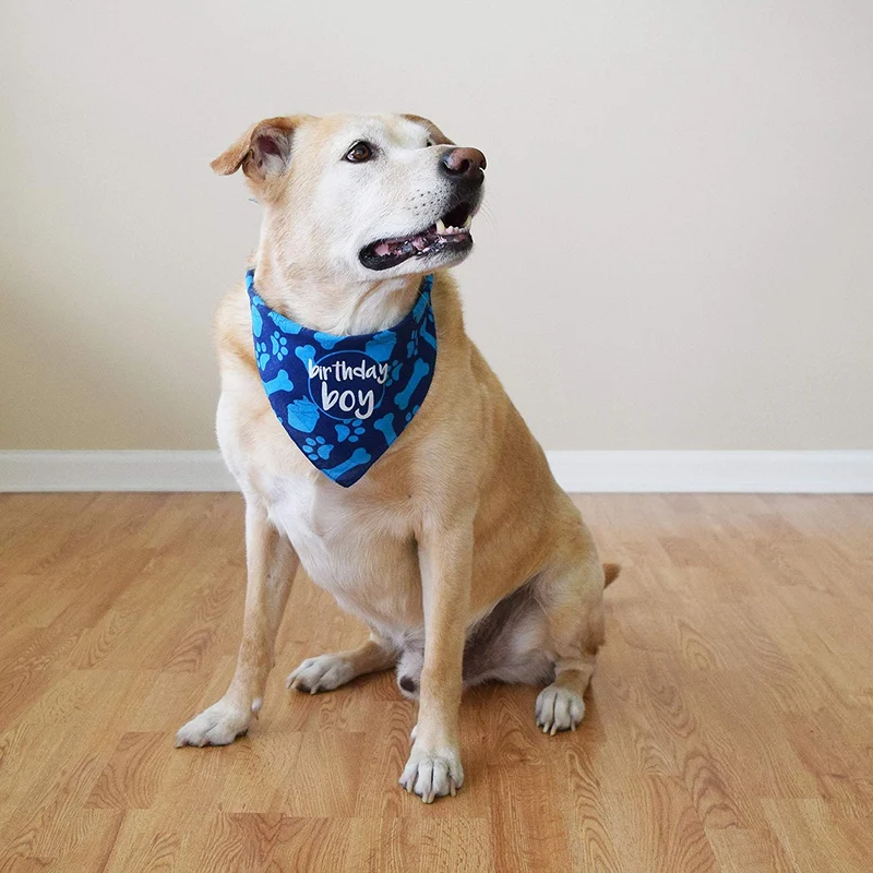 Bandana de cumpleaños para perro, diseño de niño