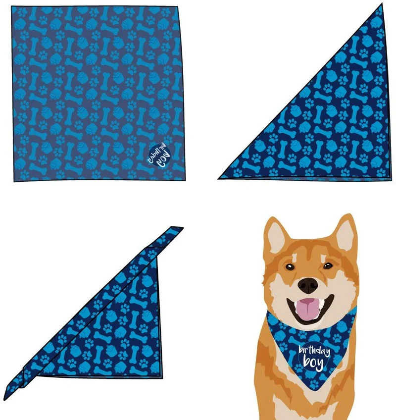 Bandana de cumpleaños para perro, diseño de niño