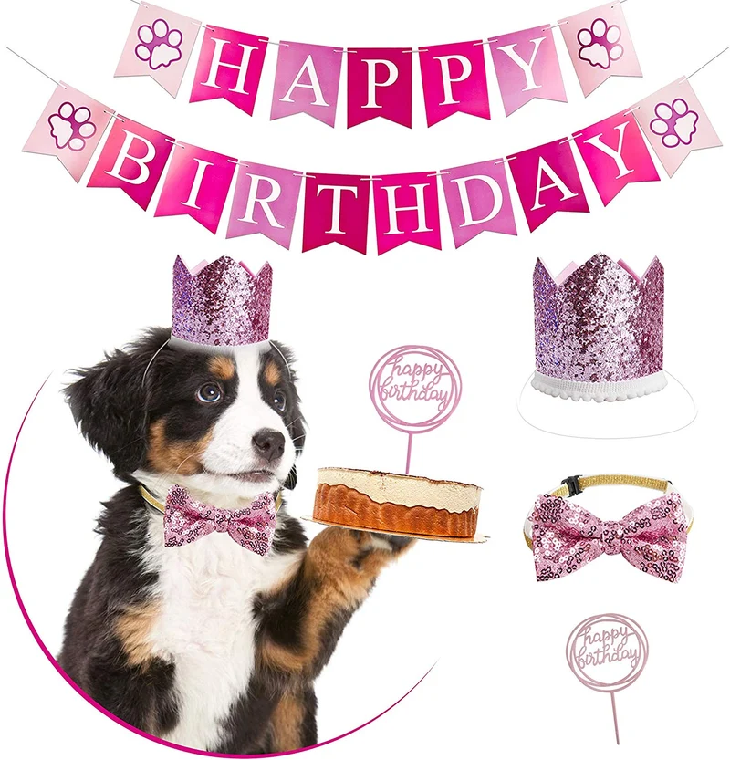 GAGILAND - Juego de bandana de cumpleaños para perro, diseño de pajarita