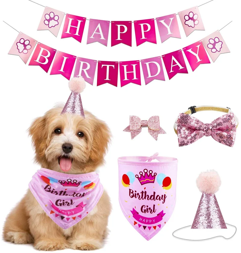 GAGILAND - Juego de bandana de cumpleaños para perro, diseño de pajarita
