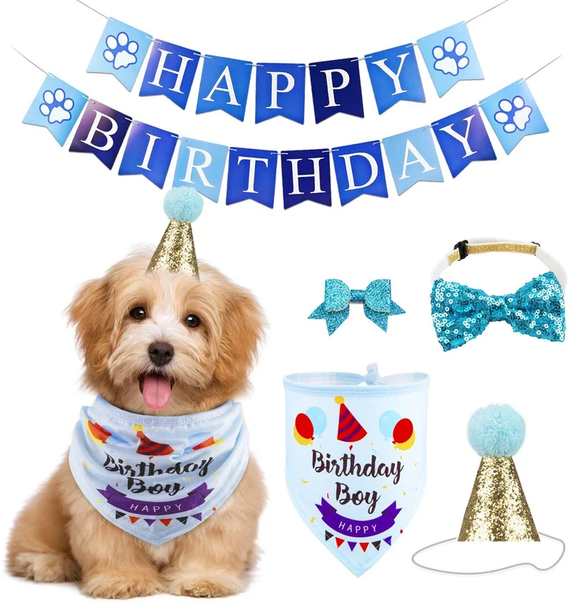 GAGILAND - Juego de bandana de cumpleaños para perro, diseño de pajarita