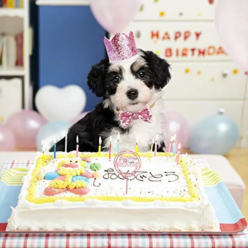 GAGILAND - Juego de bandana de cumpleaños para perro, diseño de pajarita