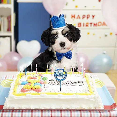 GAGILAND - Juego de bandana de cumpleaños para perro, diseño de pajarita