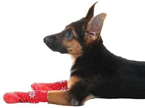 KOOLTAIL Dog Socks Anti Slip with Straps Traction Control Waterproof Paw Protector