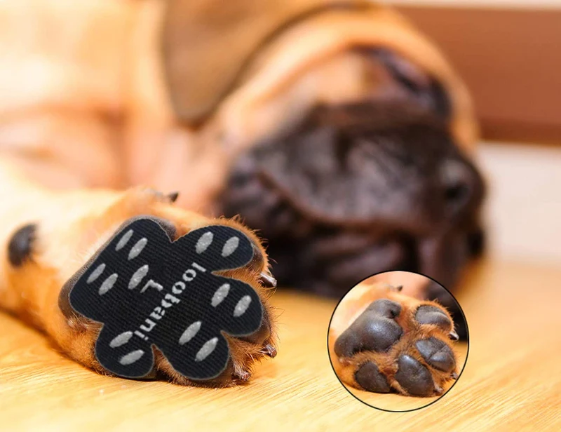 LOOBANI PadGrips- Almohadillas protectoras para perro, para evitar que los perros se resbalen en suelos duros, ayuda para tu perro mayor, 12 juegos para 4 patas