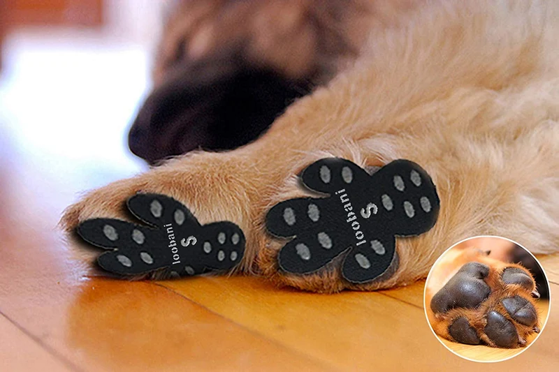 LOOBANI PadGrips- Almohadillas protectoras para perro, para evitar que los perros se resbalen en suelos duros, ayuda para tu perro mayor, 12 juegos para 4 patas