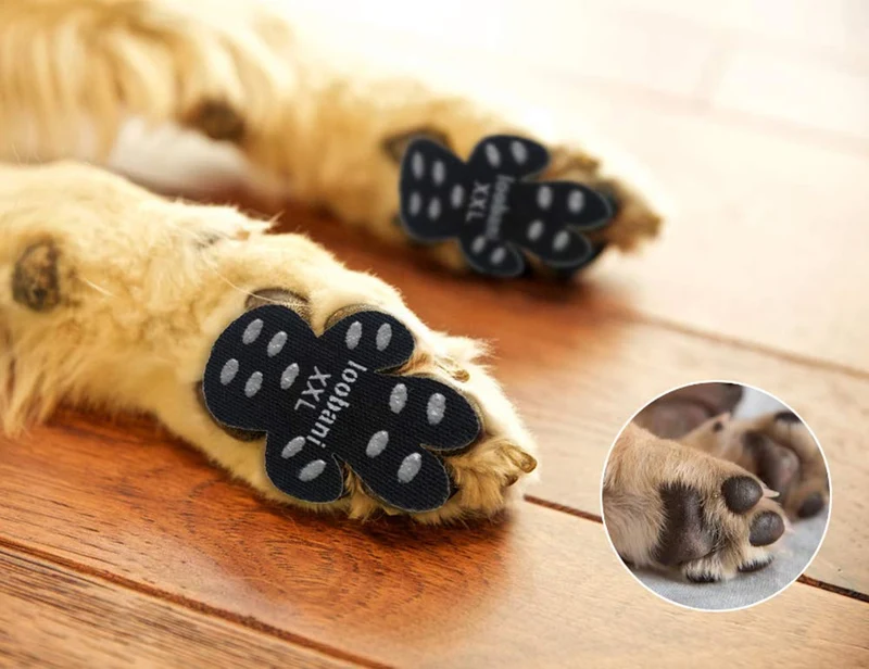 LOOBANI PadGrips- Almohadillas protectoras para perro, para evitar que los perros se resbalen en suelos duros, ayuda para tu perro mayor, 12 juegos para 4 patas