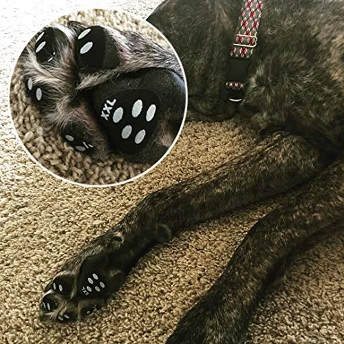 LOOBANI PadGrips- Almohadillas protectoras para perro, para evitar que los perros se resbalen en suelos duros, ayuda para tu perro mayor, 12 juegos para 4 patas
